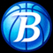 BB贝博艾弗森公司官方标志 - 绿色盾形徽章内含字母BB
