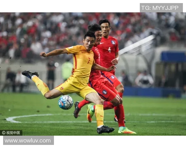 绿荫轰炸机足球明星的传奇之路与辉煌成就探秘